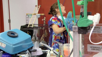 Dr. Ks Exotic Animal ER