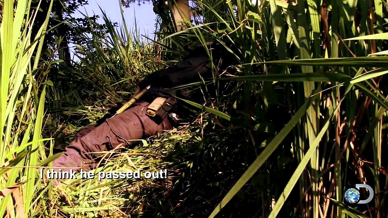 Venom and Heat Take Herpetologist Down
