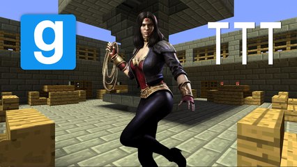 GMod: TTT - Taunting Traitor