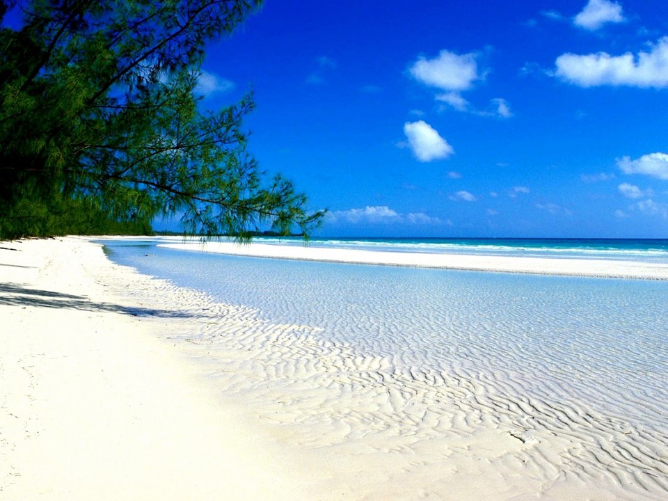 seggae ile Maurice