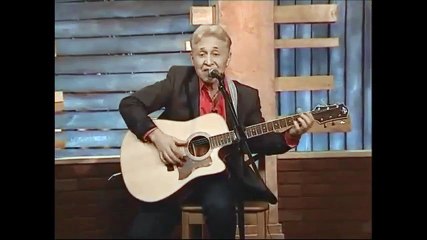 Владимир Харламов Фонари