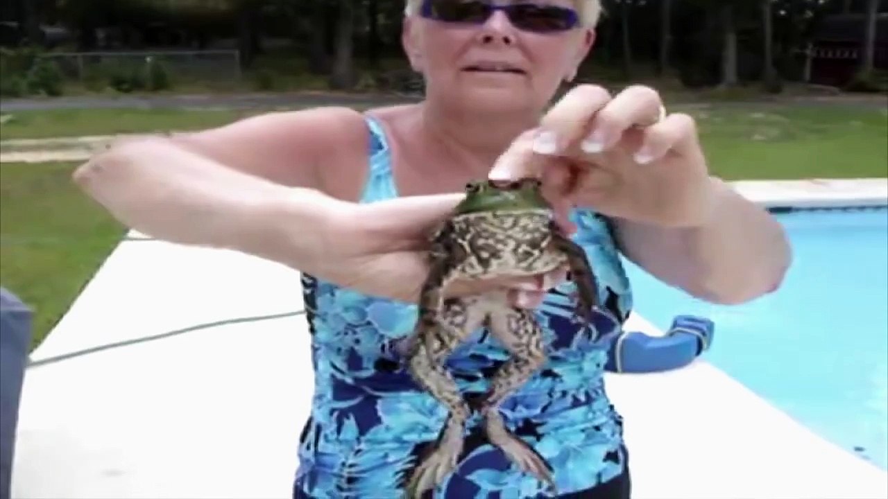 Frog Sounds Astoundingly Like Cat