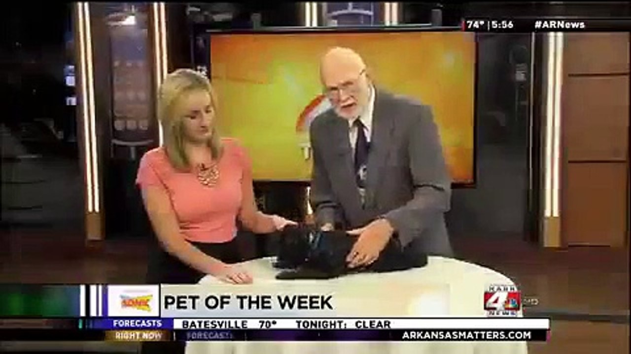 Pet of the Week: Mr. Magoo