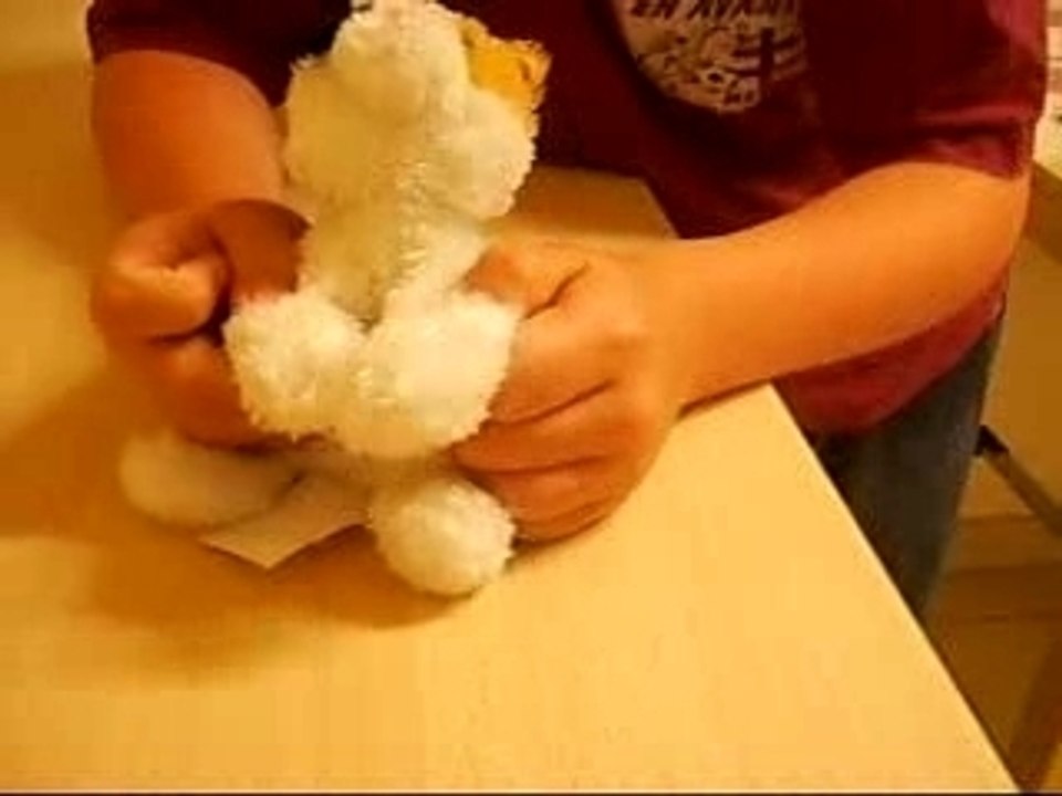 parodie avec peluche de sum41