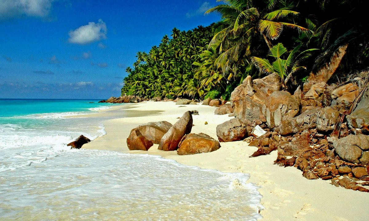 Aiden Philip Toussaint Seychelles