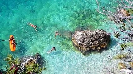 Kenge Popullore Shqiptare & Folk Music (Official Video)