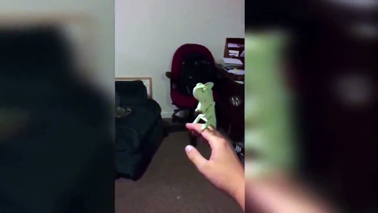 video 9