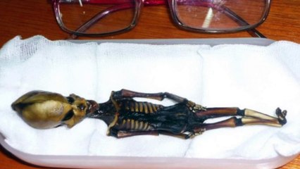 THIS IS NOT AN ALIEN -- Mind Blow #64