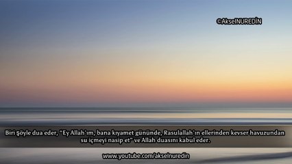 Artık Sorunları Umrusamıyorum [Şeyh Zülfikar Ahmed]