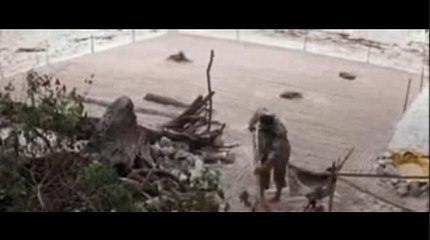 카지노여행△KOP77,COM◀바카라주소◀12bet주소