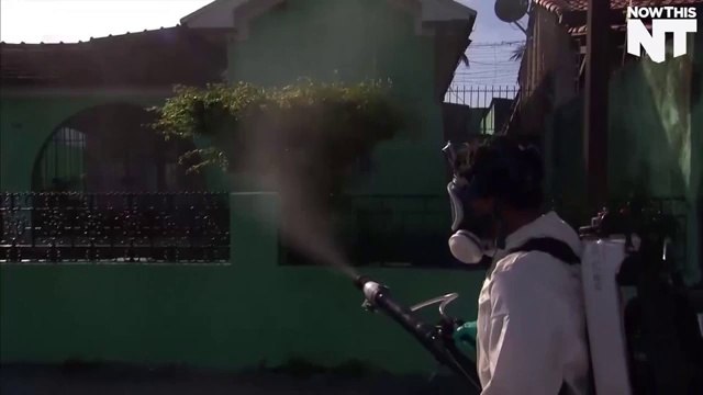 Zika Virus Puts 2016 Rio Olympics Into Question