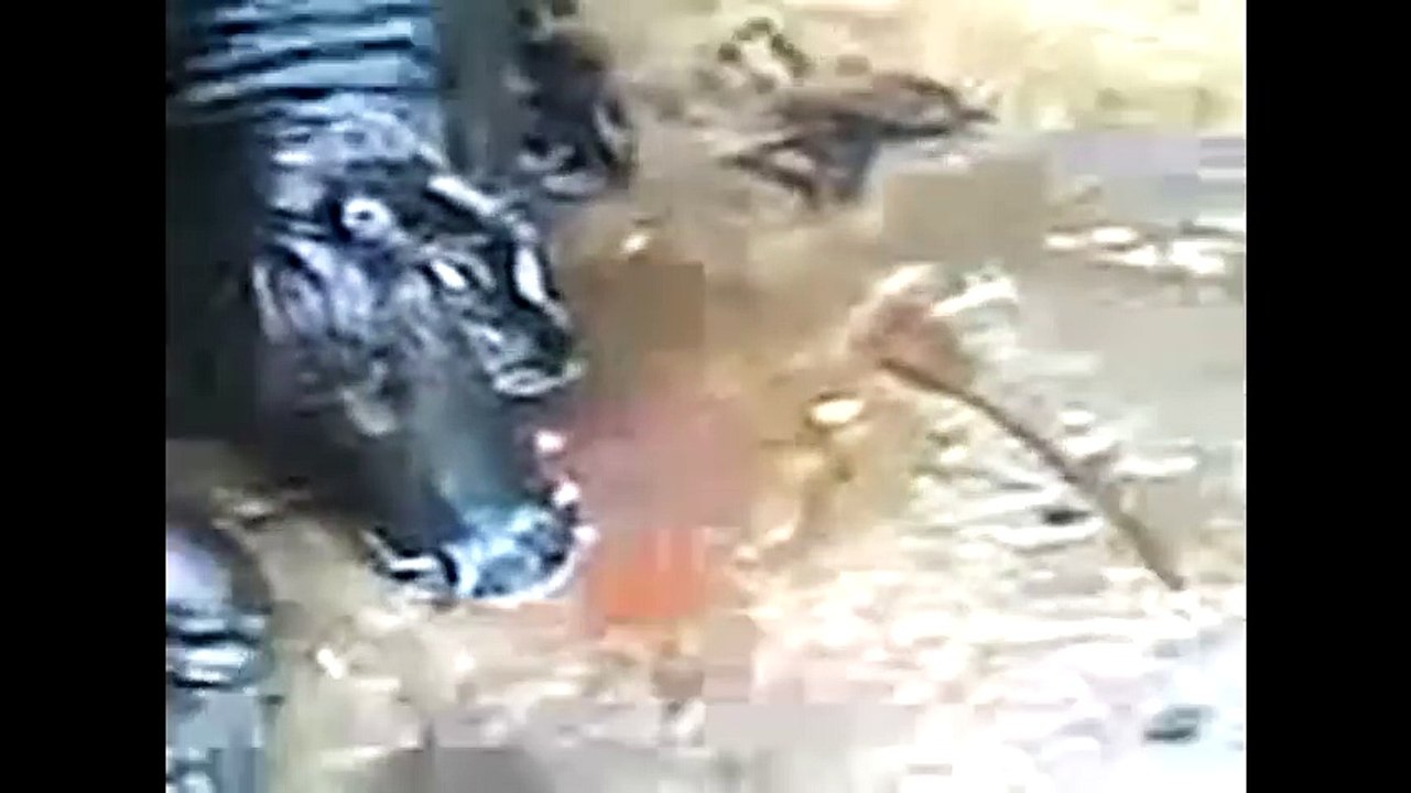 Real Werewolf