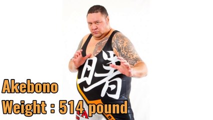 Top 10 Heaviest WWE Wrestlers of All Time