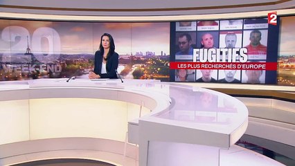 Police : l'Europe met en commun ses fugitifs