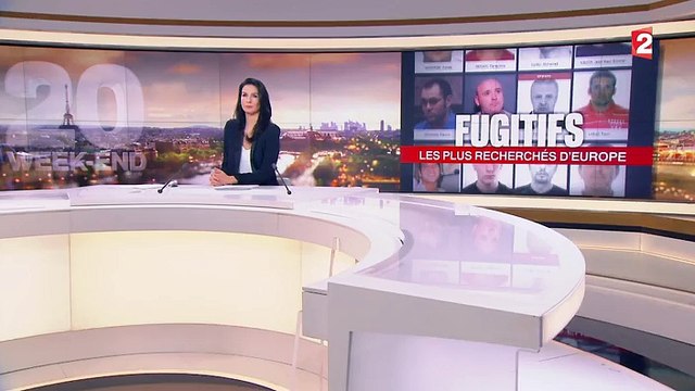 Police : l'Europe met en commun ses fugitifs