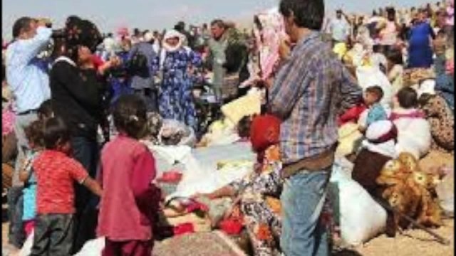 Yenal Tahir Kobanê - كوباني ينال طاهر