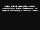 Looking for Work: Industrial Archeology in Columbia County New York: The Emergency and Growth