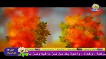 عامر موشاطر طيور الجنة بيبي - toyor baby tv