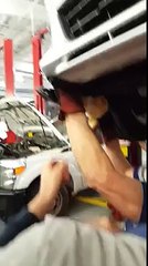 Mechanic pulls kitty from wheel after car starts meowing