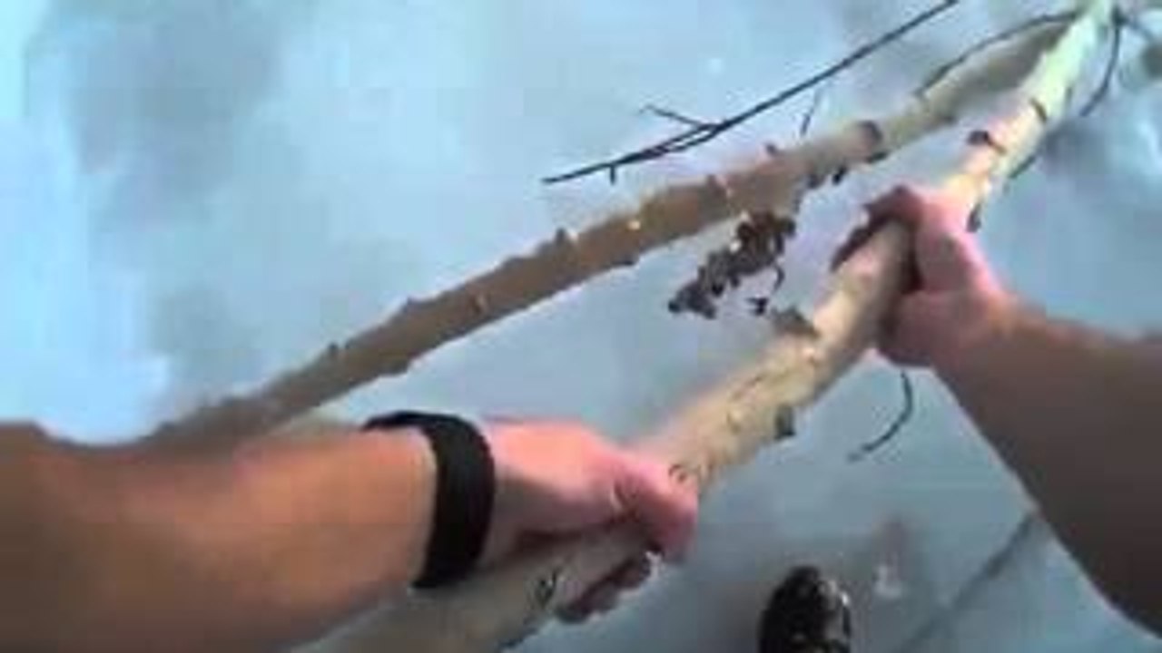 Officer Rescues Teen from Icy Pond