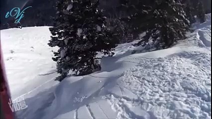 Skier Rides With Deers