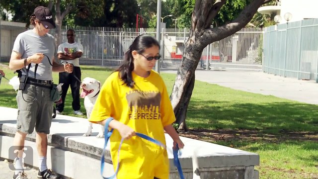 Cornelius - Point (full album)