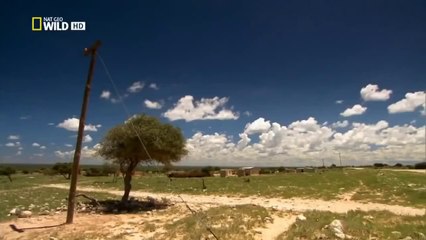 Ultimate Predator Jaws of Death National Geographic HD 2015