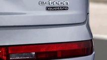 Audi Plug-In Hybrid Q7 e-tron 3.0 TDI Quattro Details and Interior
