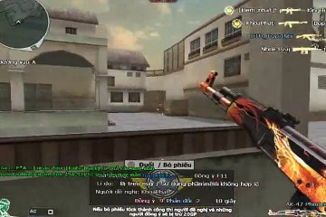 CFVN  AK-47 Phoenix Montage