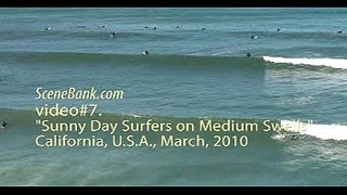 Sunny Day Surfers on Medium Swells