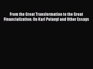 [PDF Download] From the Great Transformation to the Great Financialization: On Karl Polanyi