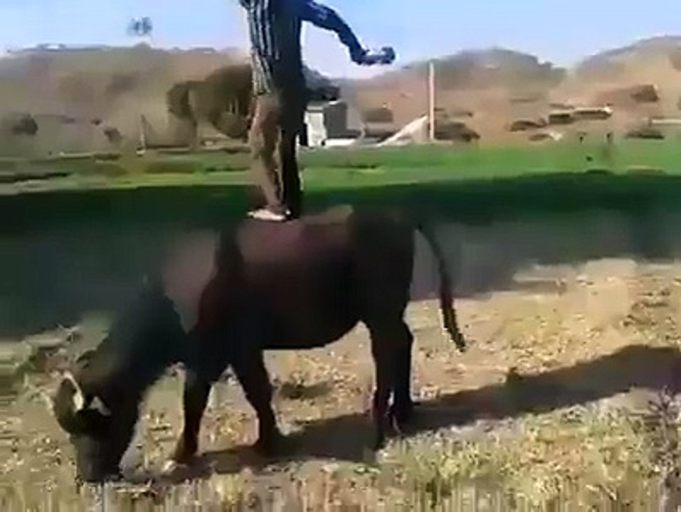 Abi to party shero hui hy very funny