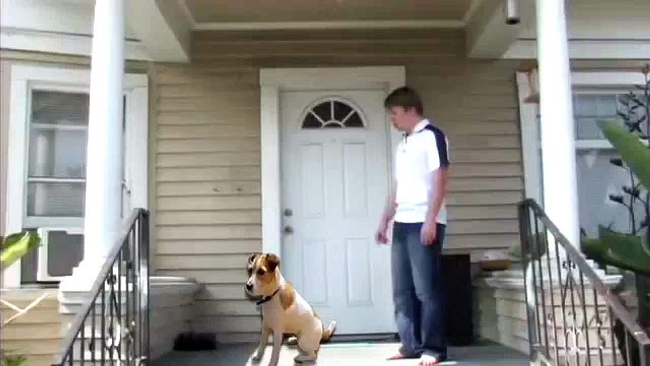 Top 50 Craziest Footbal Skill Ever