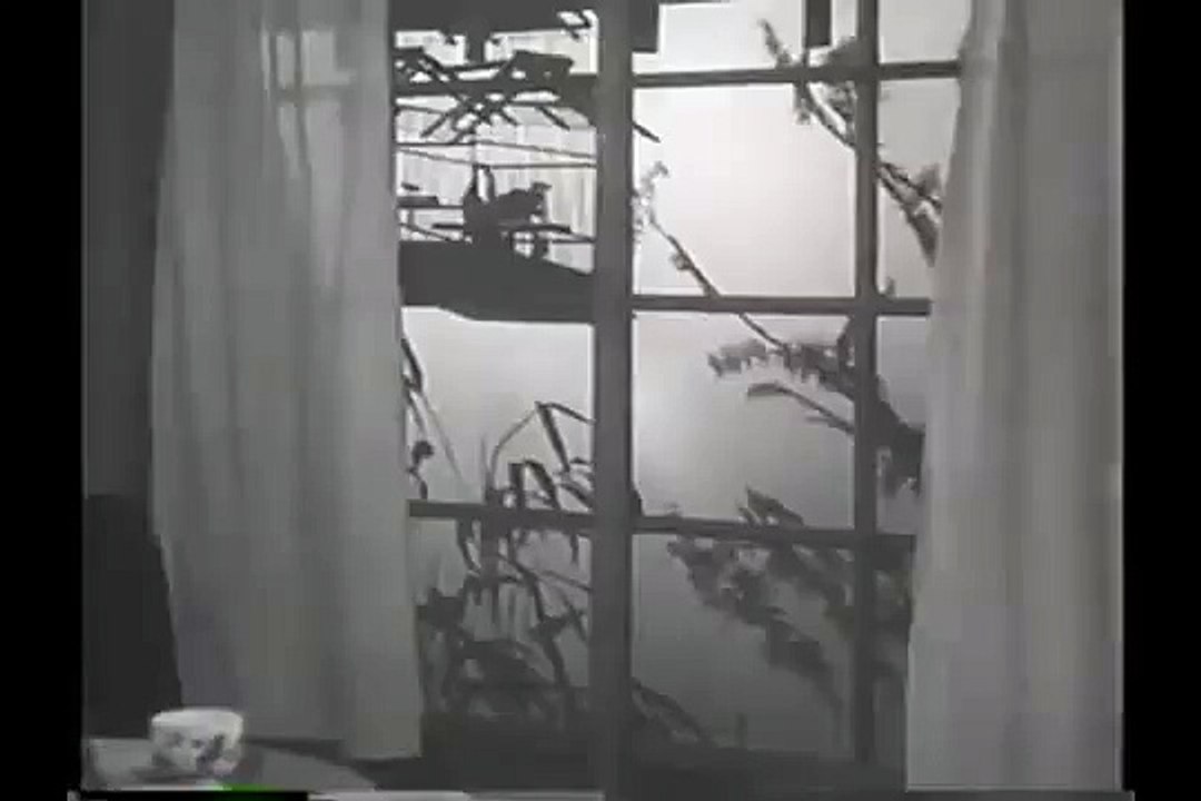 阿部一族（1938）/熊谷久虎