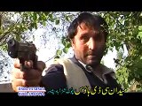 ---Pashto New Drama --Za Pukhtana Yam-- Part 1 - 2016 Jhangeer Khan