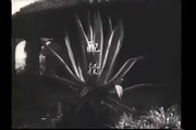 長崎の鐘（1950年）- 大庭秀雄 / The Bells of Nagasaki - Hideo Oba