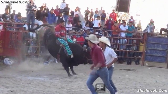 JARIPEO RANCHERO EN XOLALPAN PAPALOTLA TLAXCALA MEXICO VALIENTES JINETES MONTAN A LOS TOROS MAS SALVAJES DE LA GANADERIA LOCAL ENERO 2016