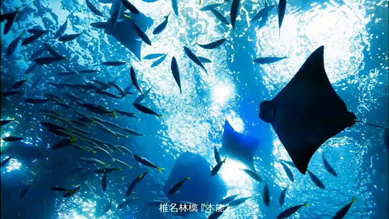 椎名林檎 - 本能