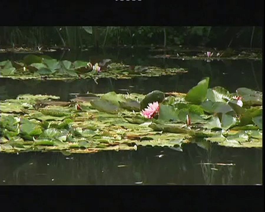 Normandia, Podróże, HD, filmy-lektor.pl, cały film, filmy z lektorem,hd