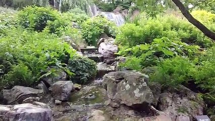 Soothing Japanese gardens waterfall