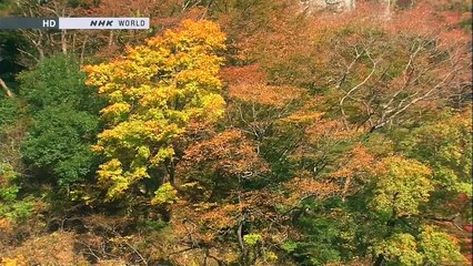 Okukuji , Satoyama , Japan (Full HD)