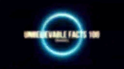 World Biggest Sea Creatures