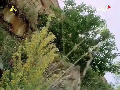 Goście 3-Serial Sci Fi Komedia Czechosłowacki Lektor