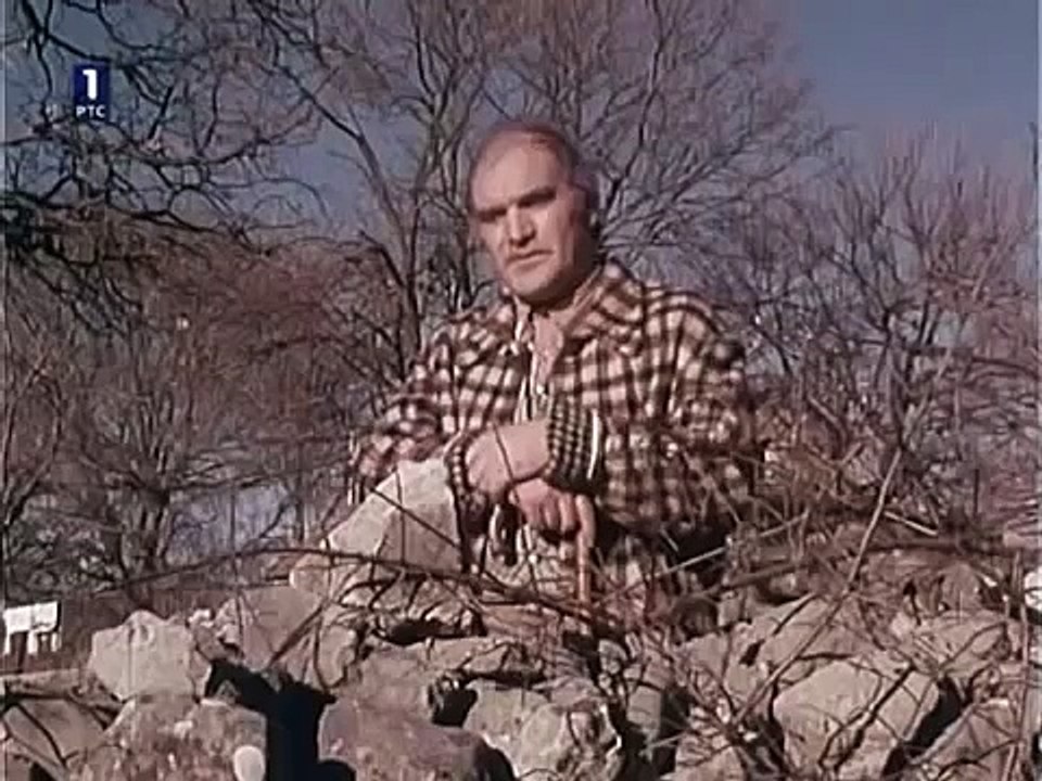 Vucari Gornje i Donje Polace (1978) domaci film