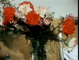 Rano sazrijevanje Marka Kovaca (1981) domaci film