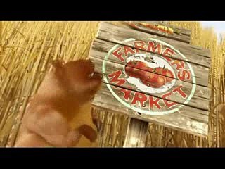 Funny cartoon beaver movie -