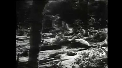 블루카지노◀KOP77,COM※양방배팅계산기▨로얄드림카지노랜드