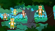Five Big Tigers | Tigers