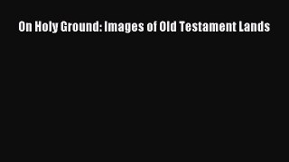 (PDF Download) On Holy Ground: Images of Old Testament Lands Read Online