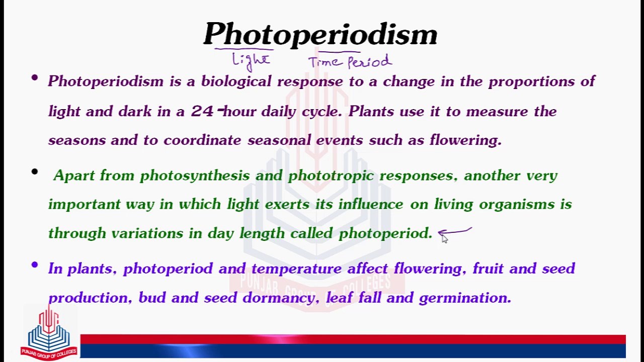 Photoperiodism & its effects - video Dailymotion